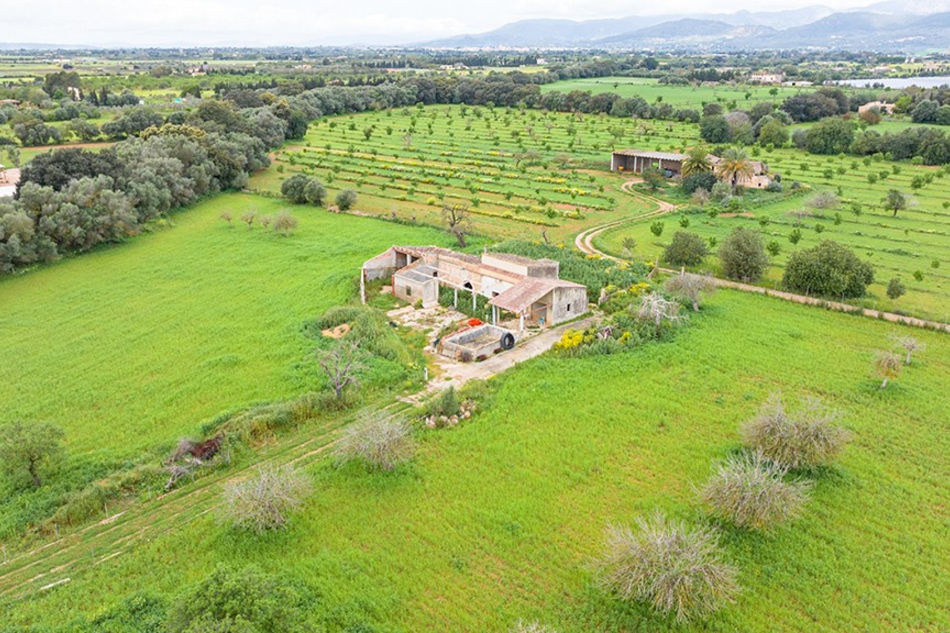 Resale - Land - Binissalem