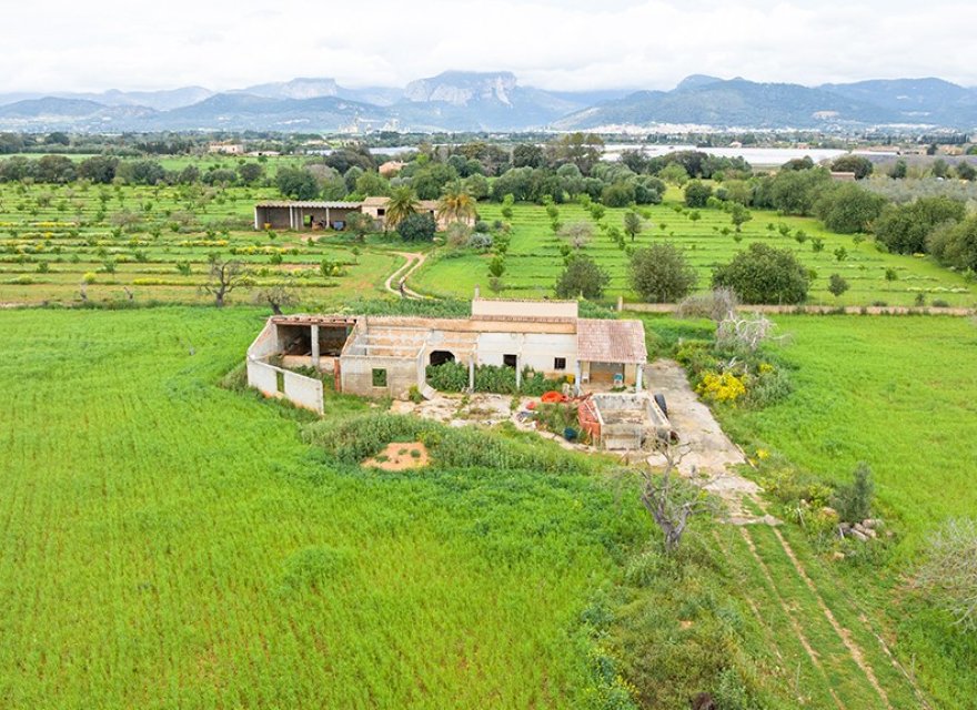 Resale - Land - Binissalem