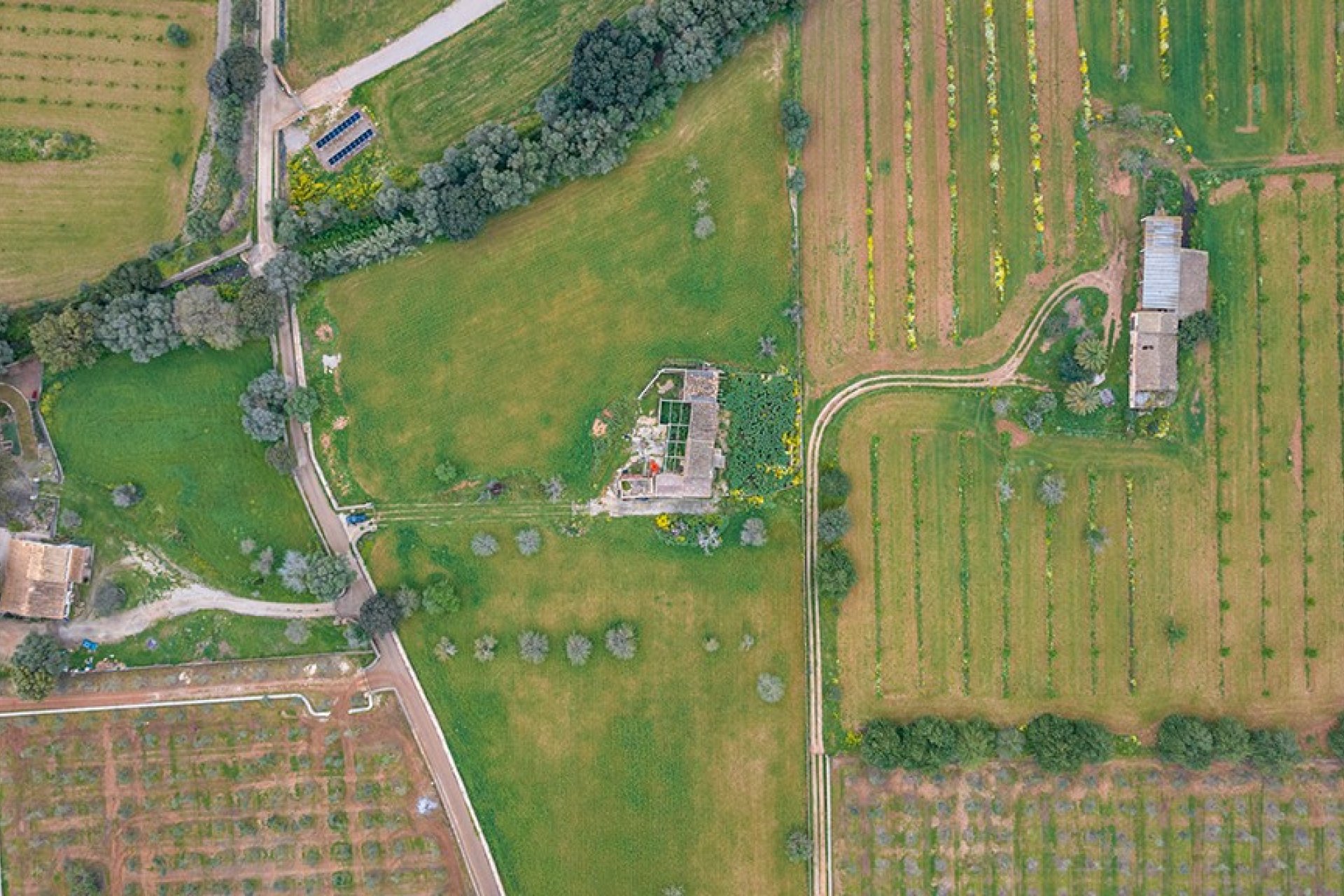 Resale - Land - Binissalem