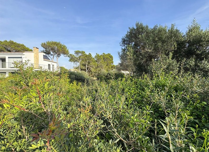 Resale - Land - El Toro