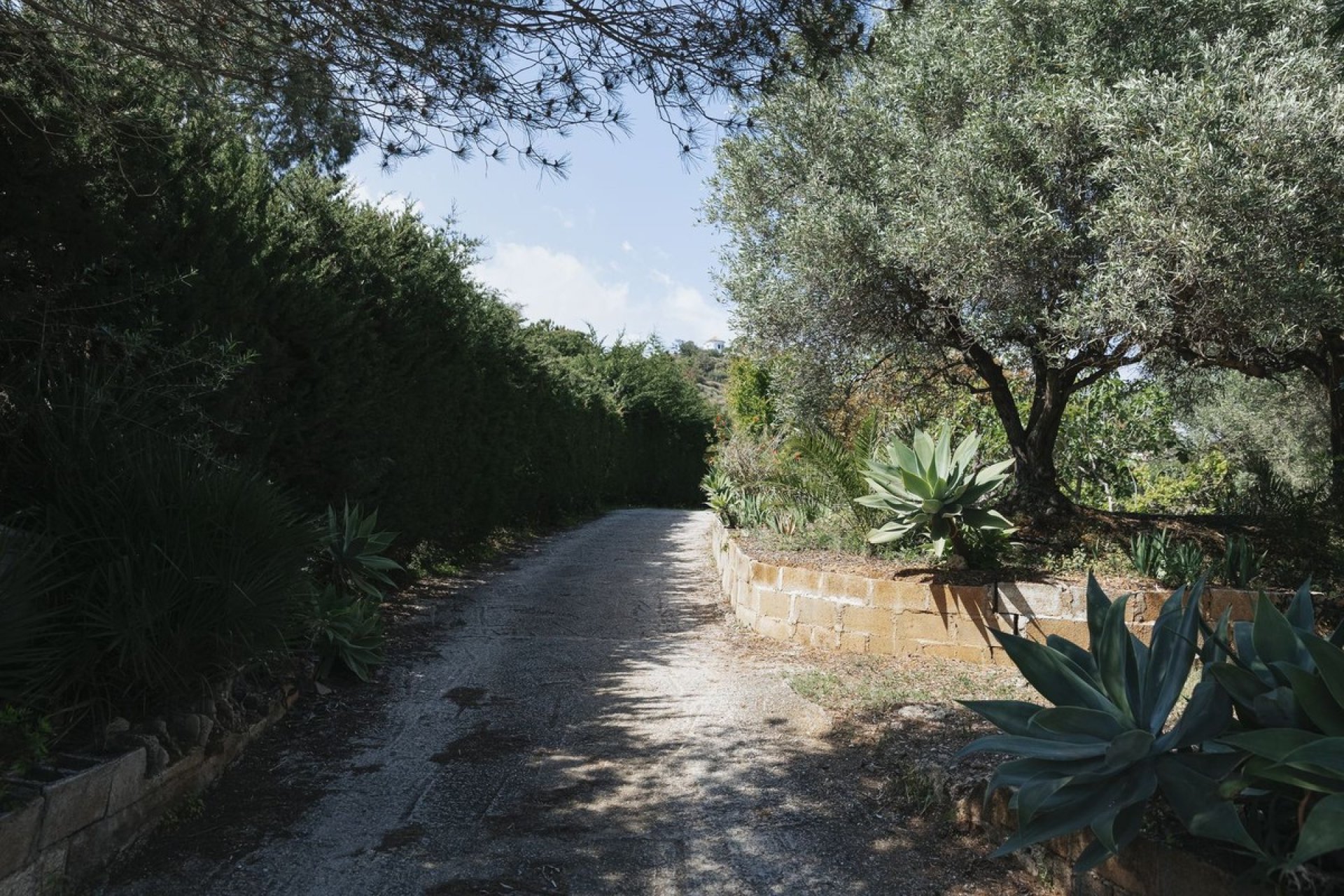 Resale - Land - Еstepona - Costa del Sol