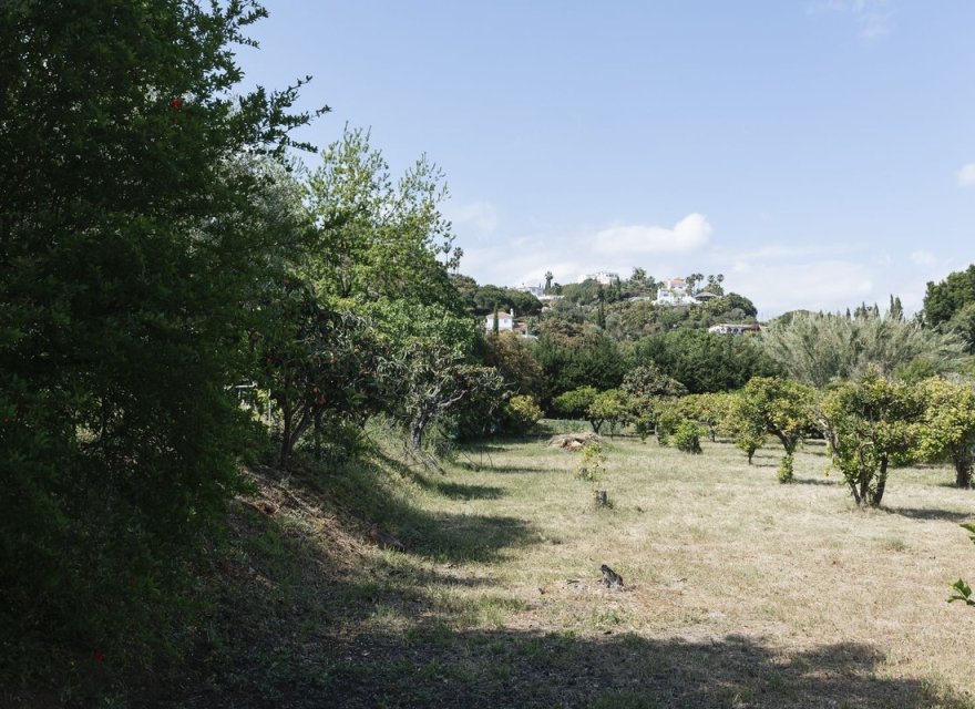 Resale - Land - Еstepona - Costa del Sol