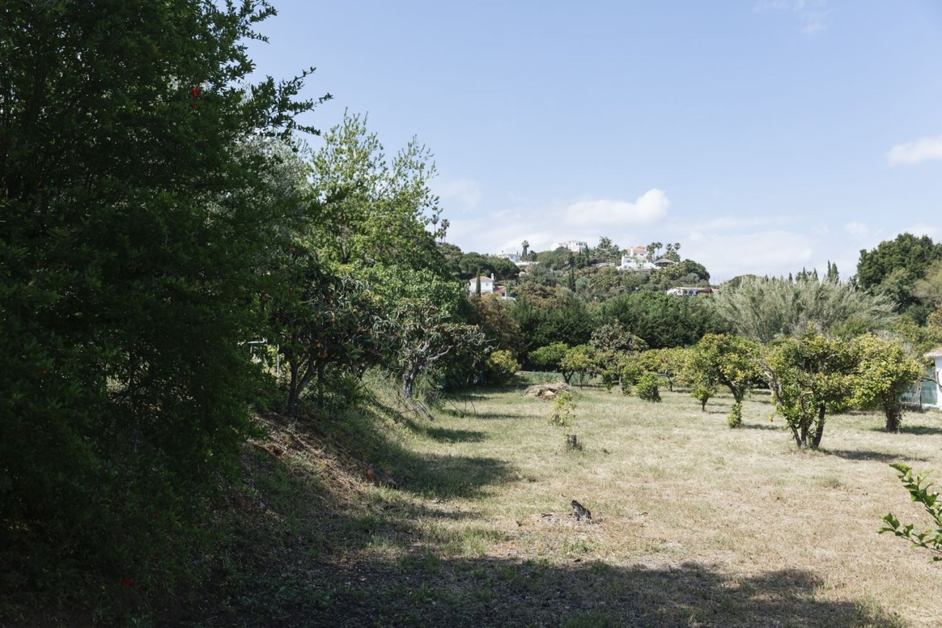 Resale - Land - Еstepona - Costa del Sol