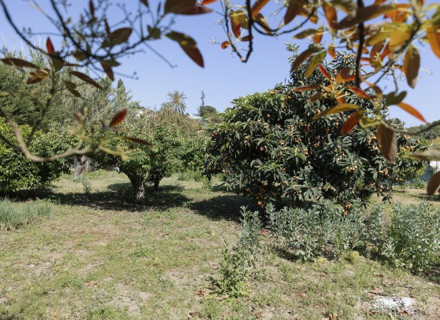 Resale - Land - Еstepona - Costa del Sol