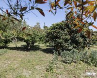 Resale - Land - Еstepona - Costa del Sol