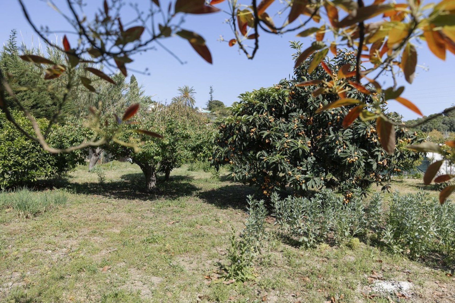 Resale - Land - Еstepona - Costa del Sol