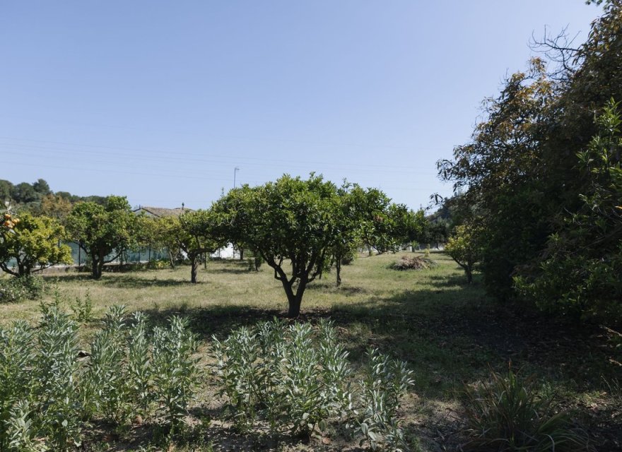 Resale - Land - Еstepona - Costa del Sol