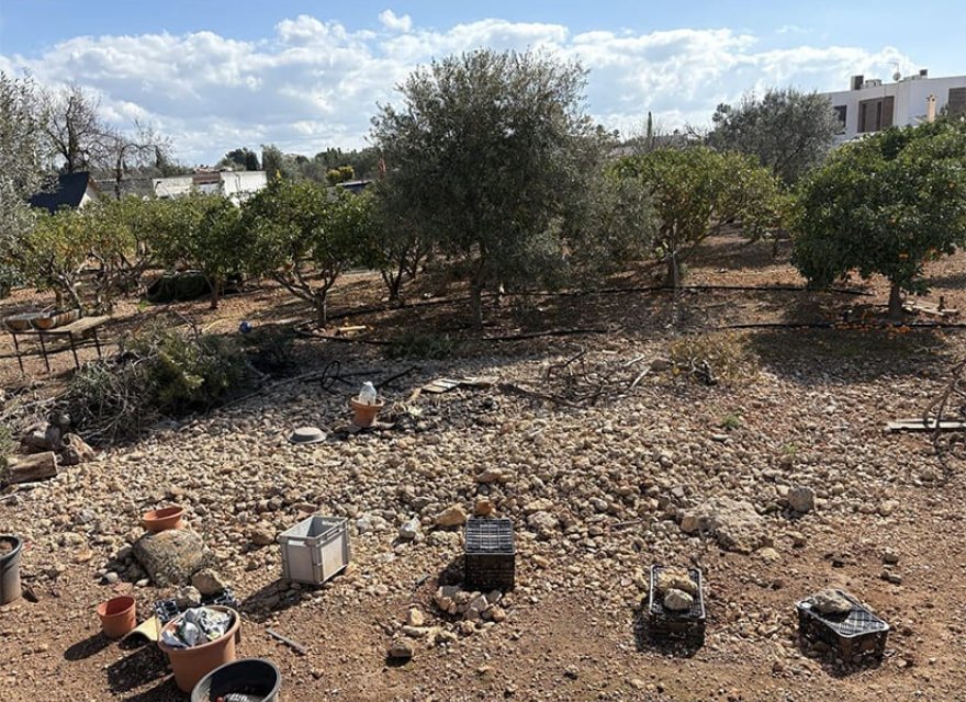 Resale - Land - Palma de Mallorca - Marratxi