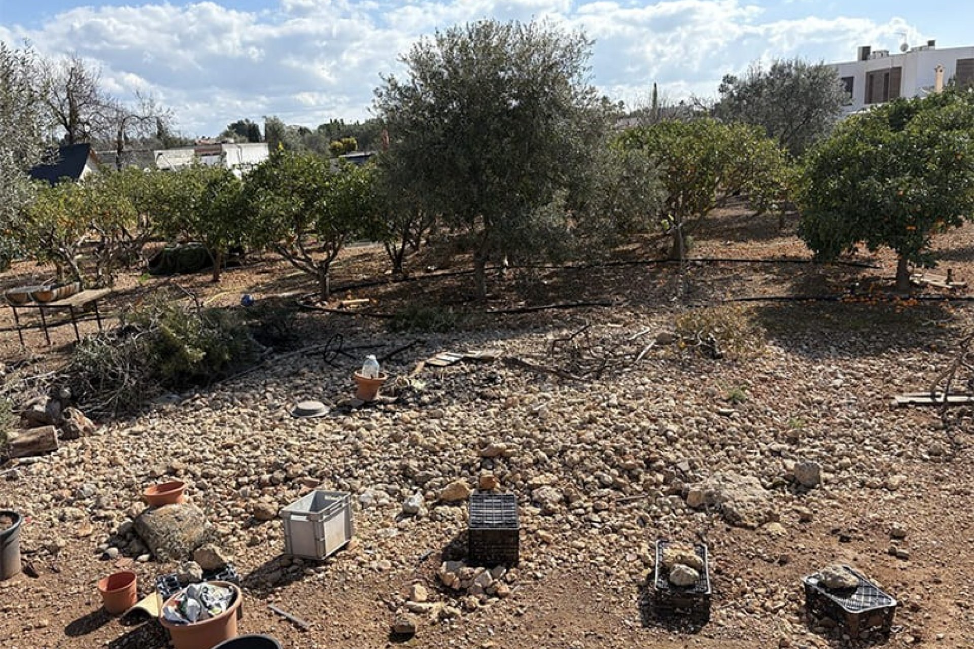 Resale - Land - Palma de Mallorca - Marratxi