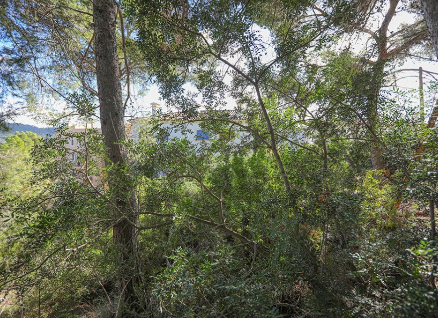 Resale - Land - Puerto d’Andratx