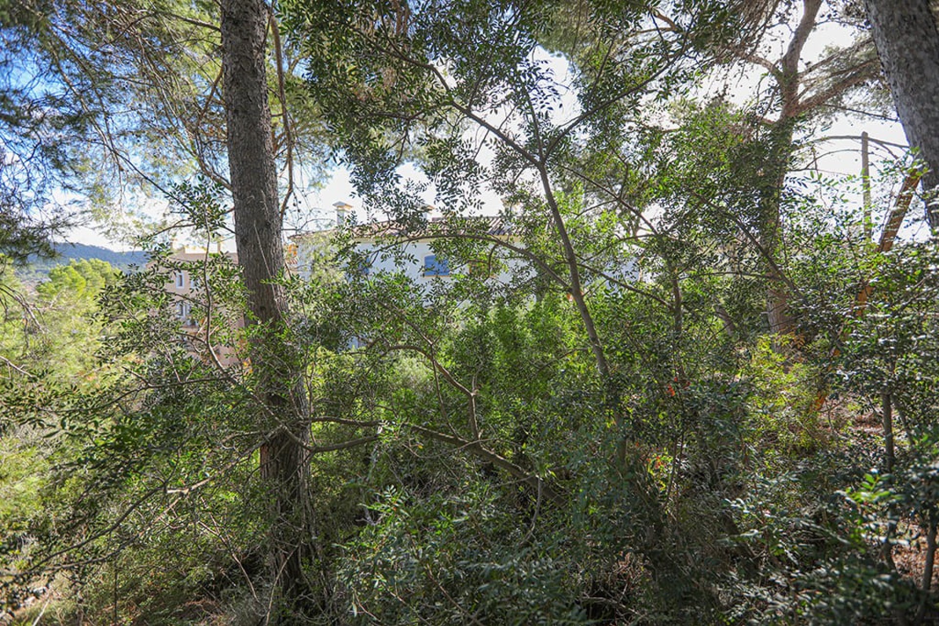 Resale - Land - Puerto d’Andratx