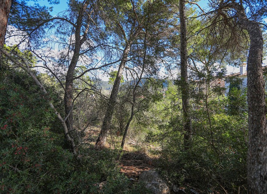 Resale - Land - Puerto d’Andratx