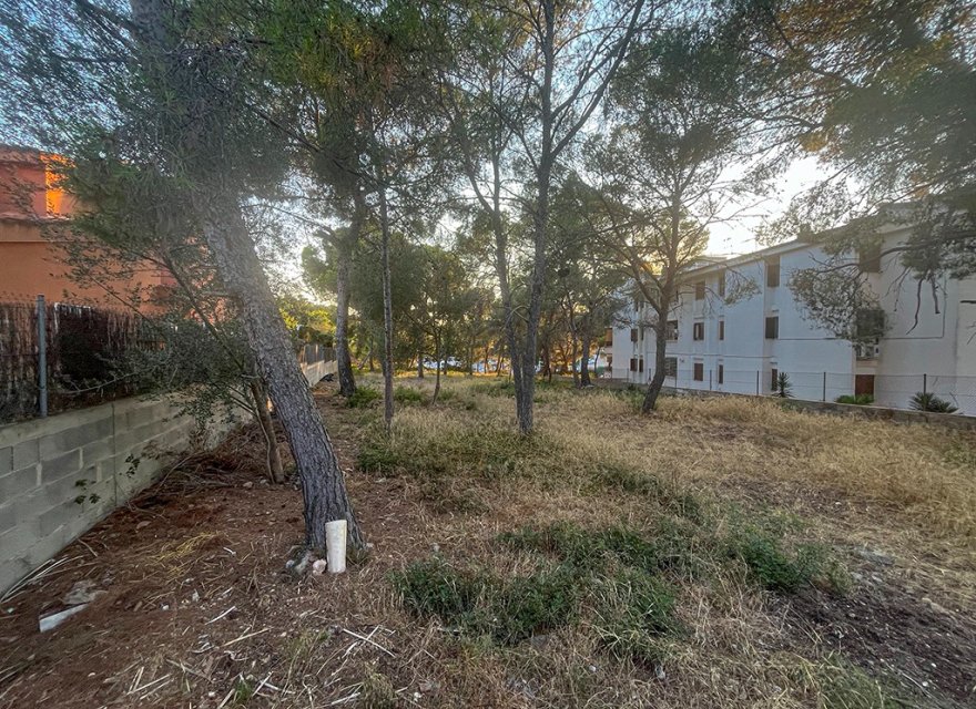 Resale - Land - Santa Ponsa