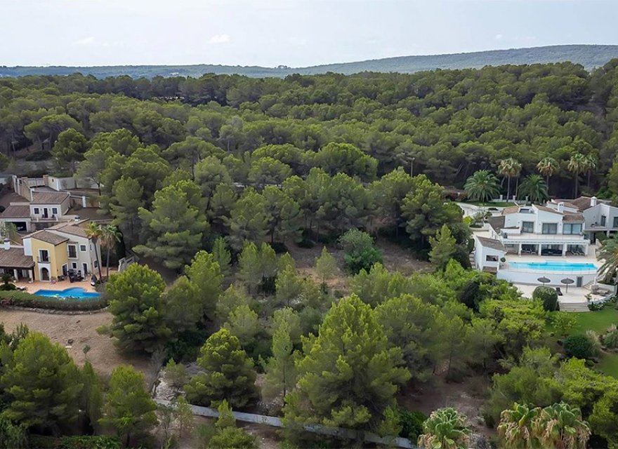 Resale - Land - Santa Ponsa