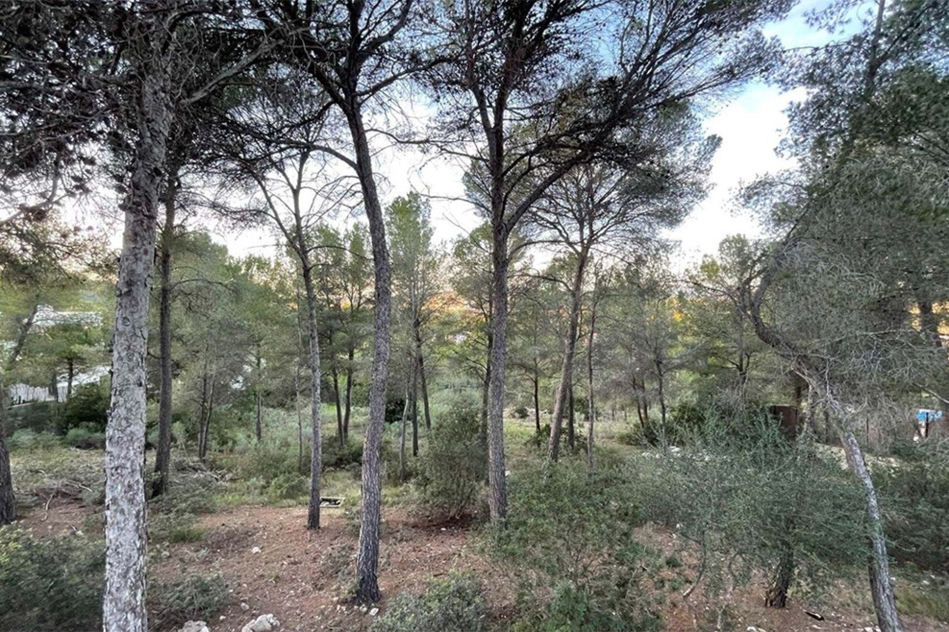 Resale - Land - Santa Ponsa