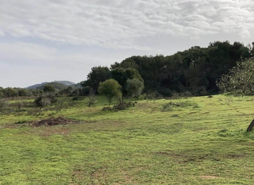 Resale - Land - Santanyí