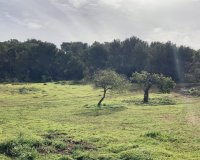 Resale - Land - Santanyí