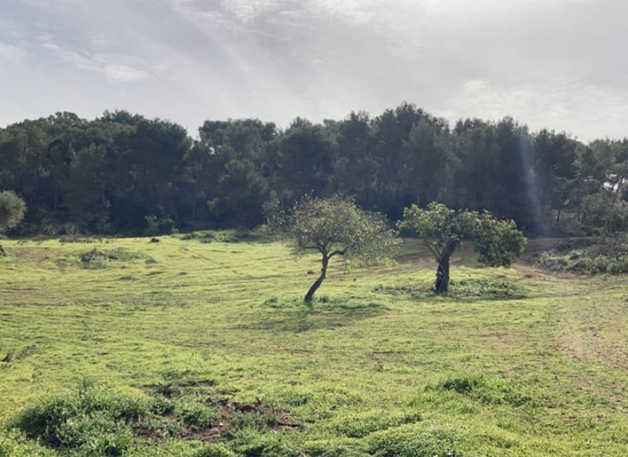 Resale - Land - Santanyí