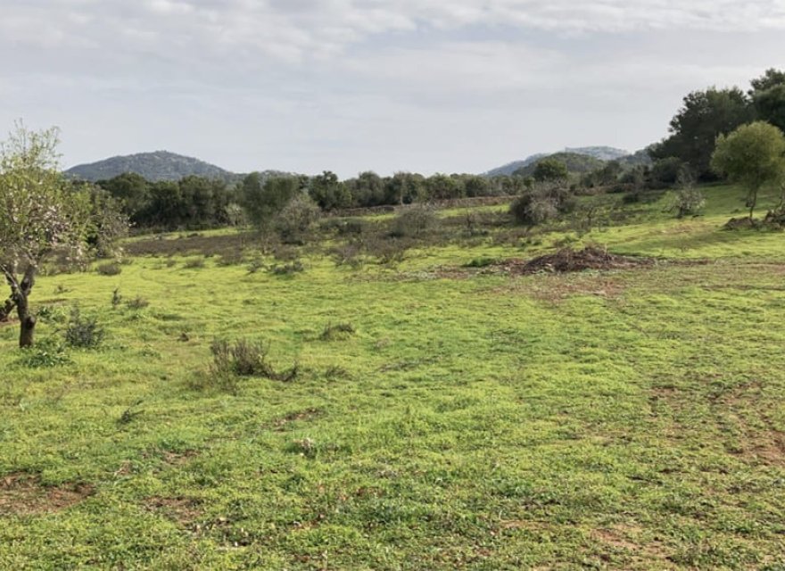 Resale - Land - Santanyí