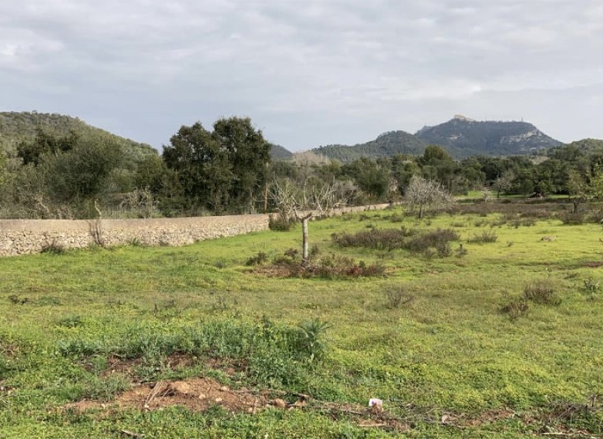 Resale - Land - Santanyí