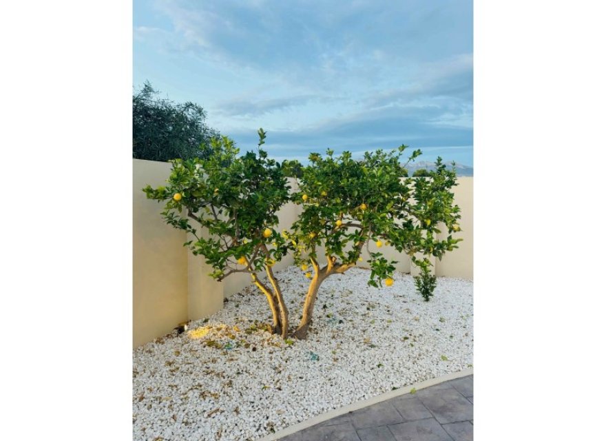 Resale - Villa - Albir  - Costa Blanca