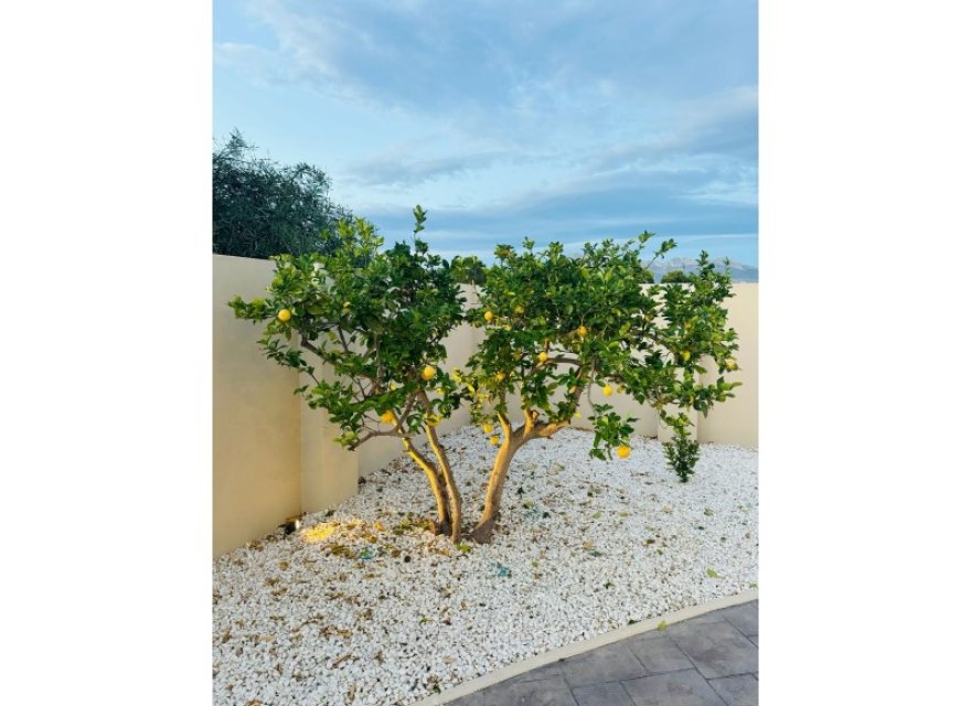 Resale - Villa - Albir  - Costa Blanca