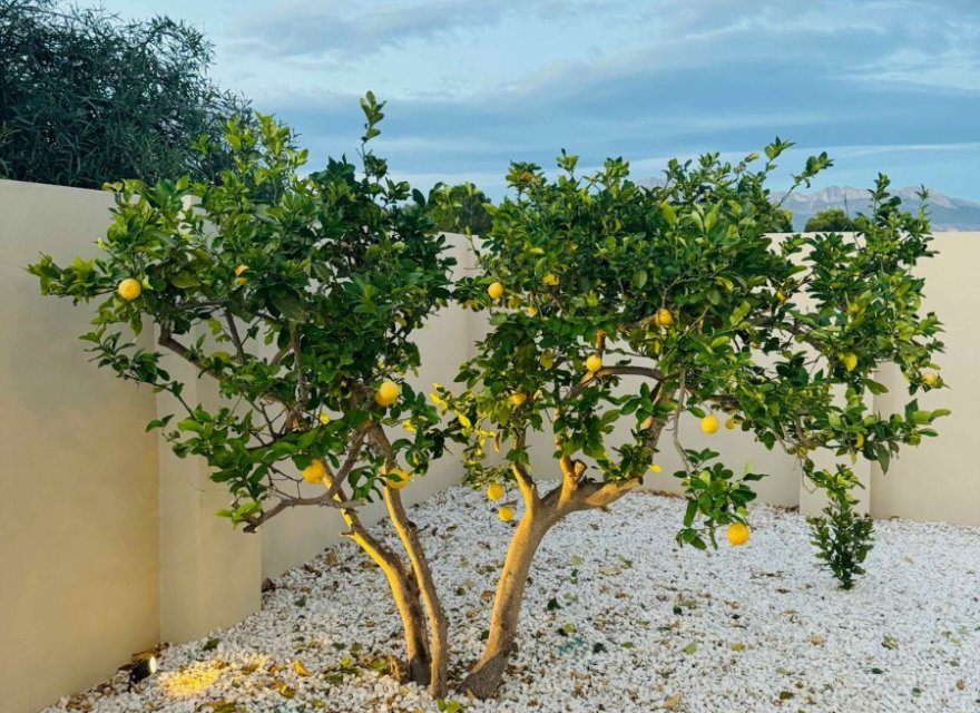 Resale - Villa - Albir  - Costa Blanca