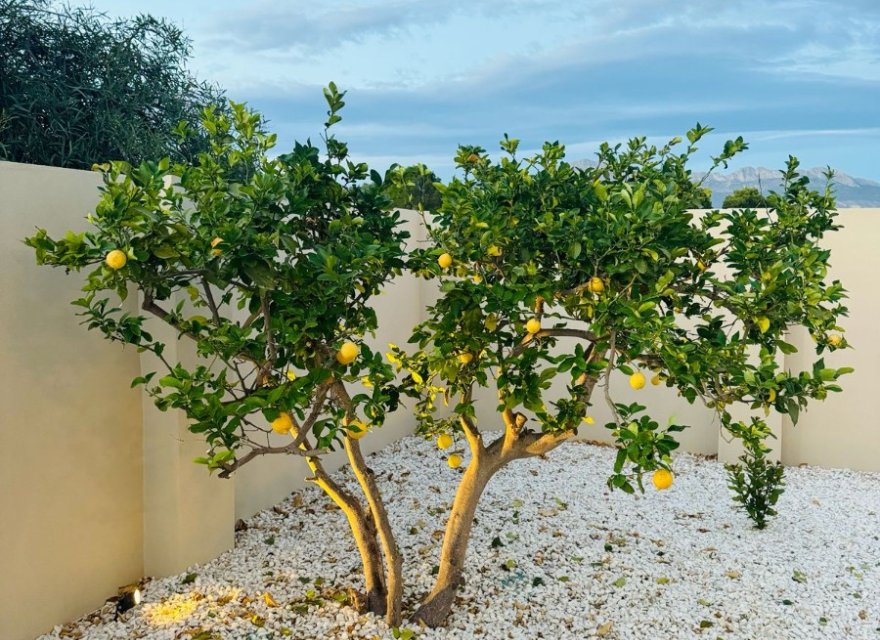 Resale - Villa - Albir  - Costa Blanca