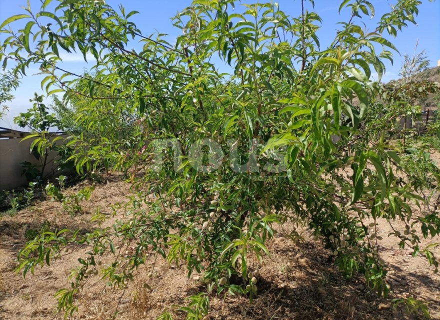 Resale - Villa - Arico