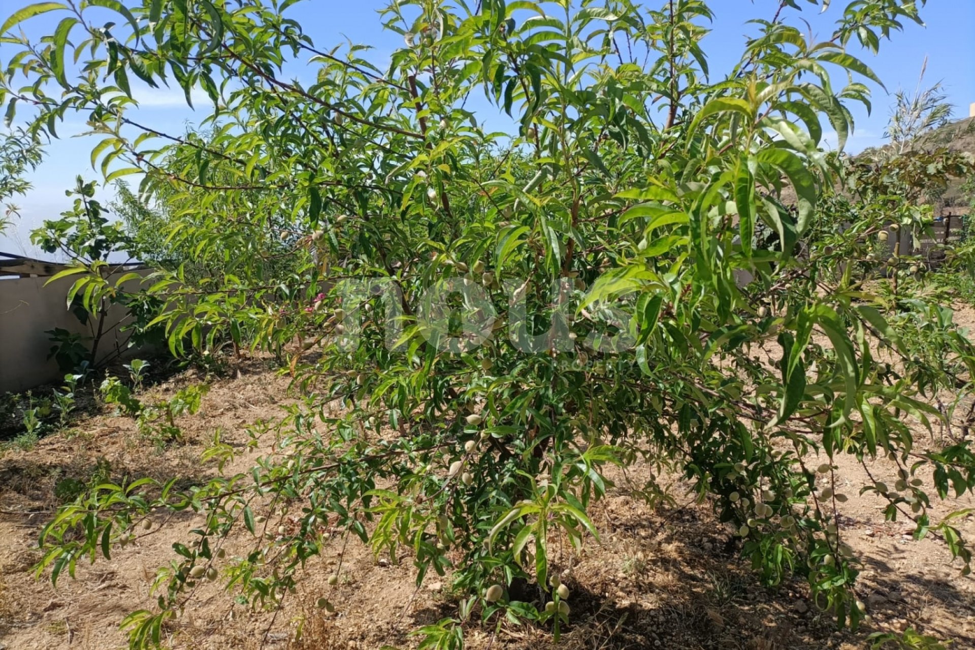 Resale - Villa - Arico