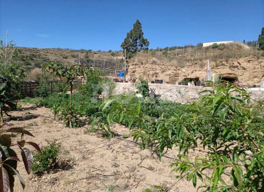 Resale - Villa - Arico