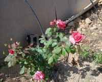 Resale - Villa - Arico