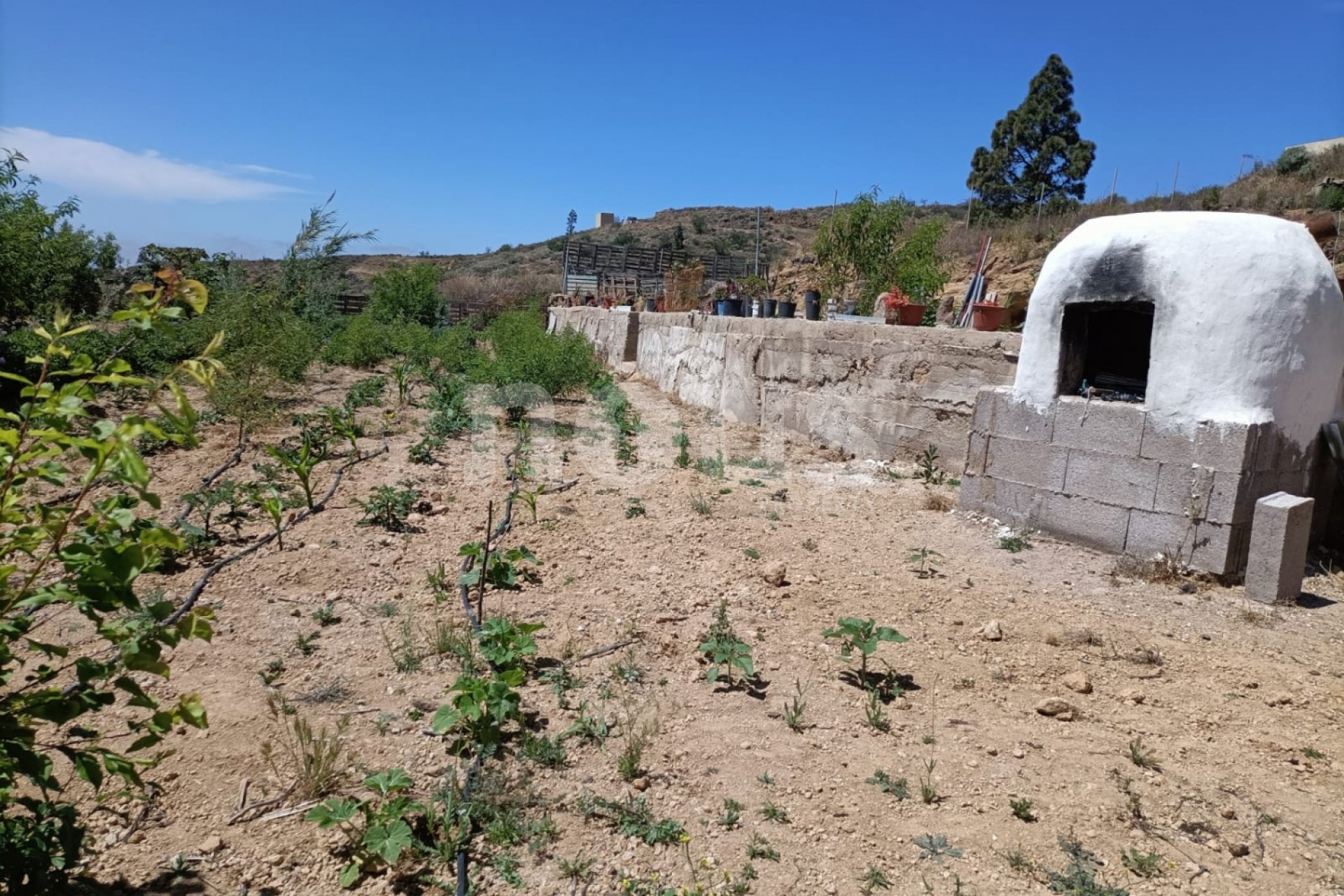 Resale - Villa - Arico