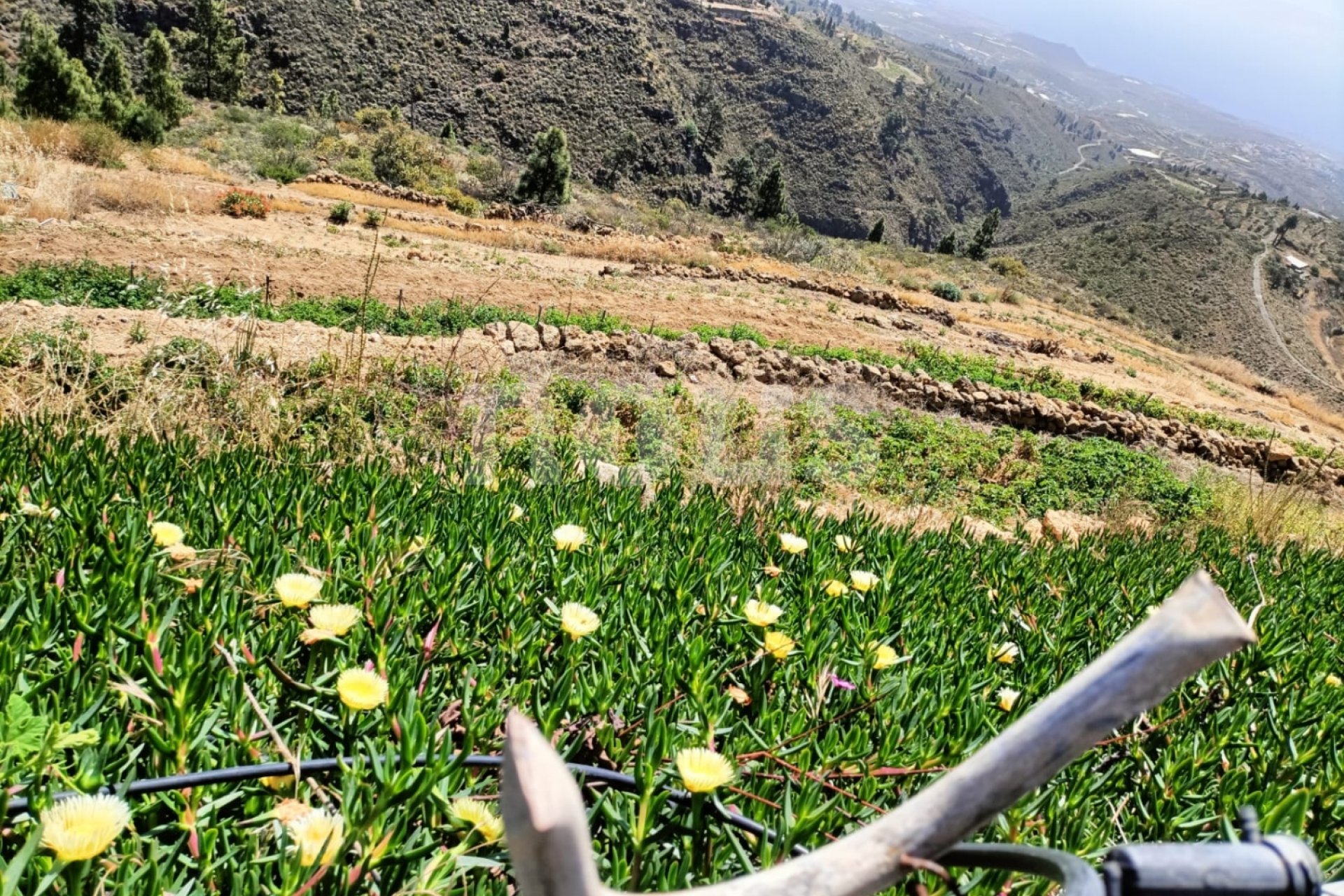 Resale - Villa - Arico