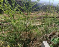 Resale - Villa - Arico