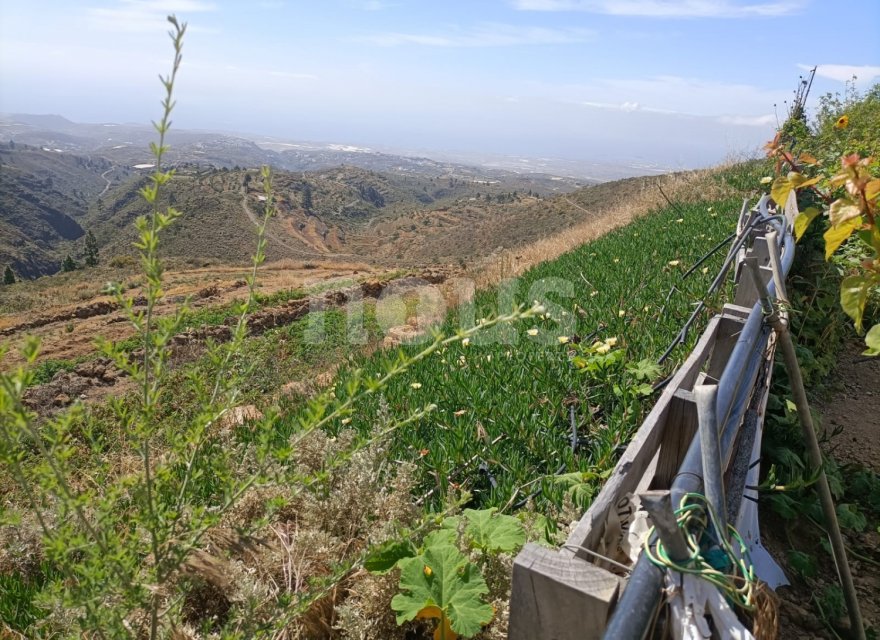 Resale - Villa - Arico