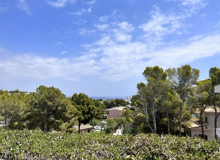 Resale - Villa - Cala Viñes