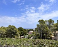 Resale - Villa - Cala Viñes