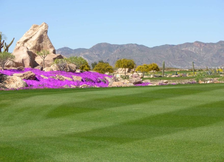 Resale - Villa - Cuevas del Almanzora - Villaricos