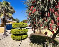 Resale - Villa - Denia