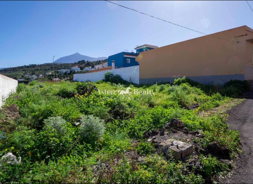 Resale - Villa - El Tanque
