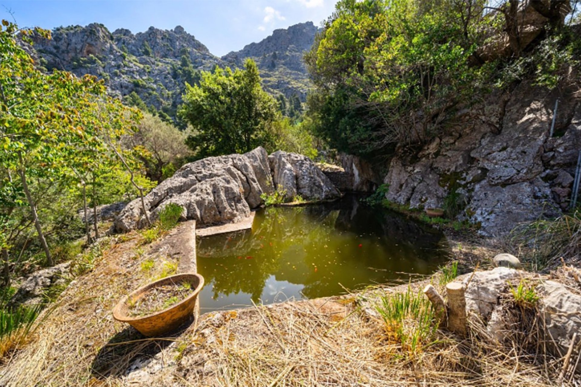 Resale - Villa - Escorca