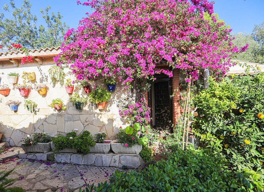 Resale - Villa - Esporles