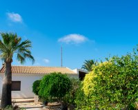 Resale - Villa - Guardamar del Segura - El Raso