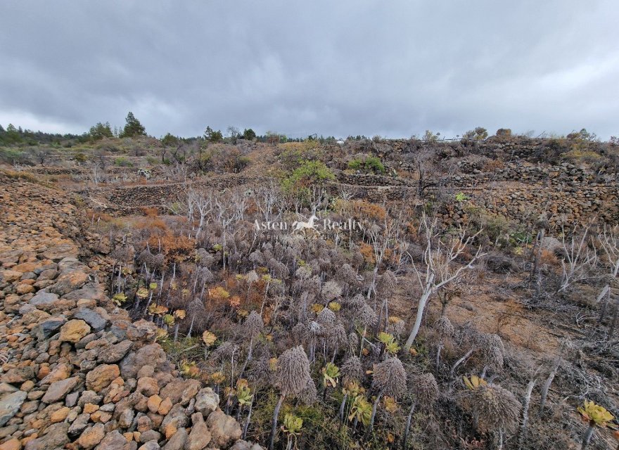 Resale - Villa - Guia De Isora - Chío