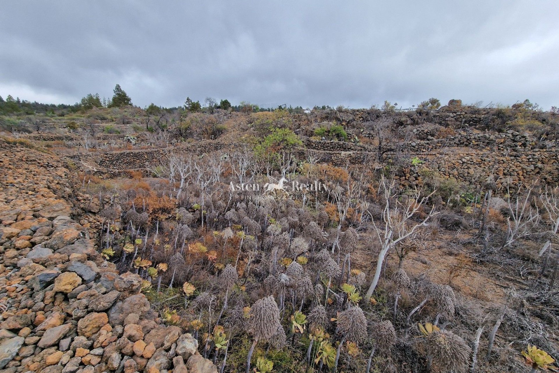 Resale - Villa - Guia De Isora - Chío