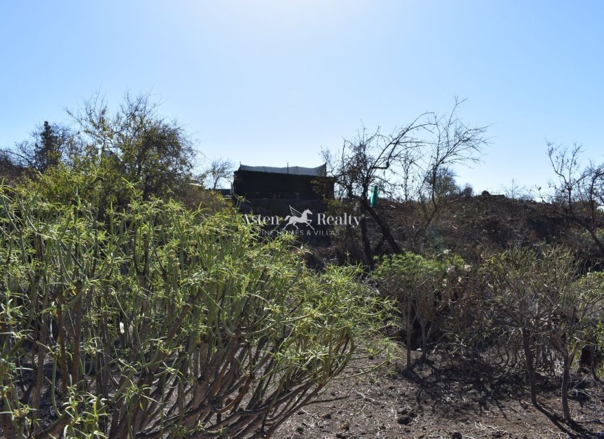 Resale - Villa - Guia De Isora - Chío