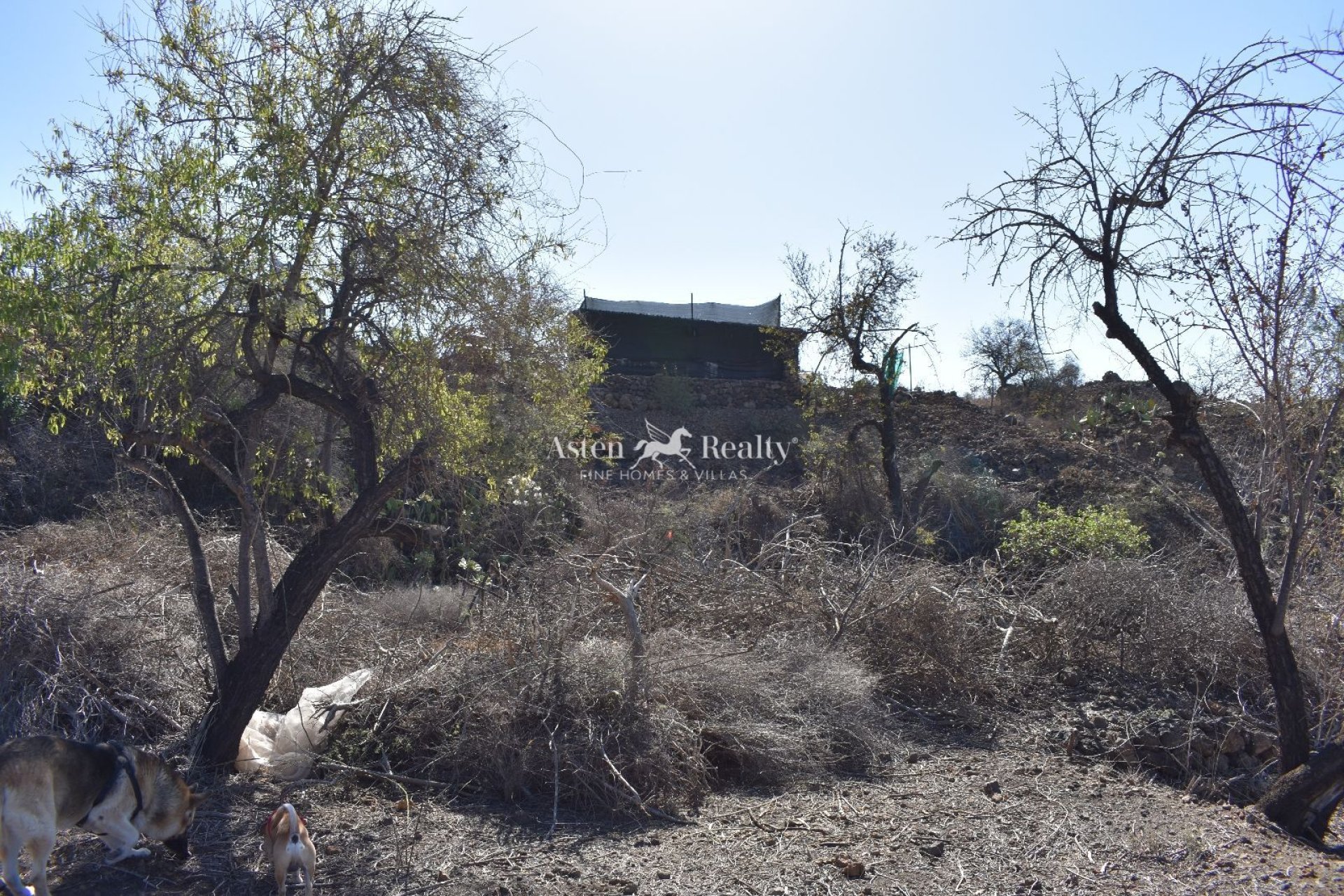 Resale - Villa - Guia De Isora - Chío