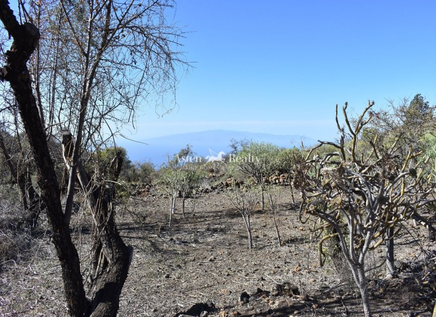 Resale - Villa - Guia De Isora - Chío
