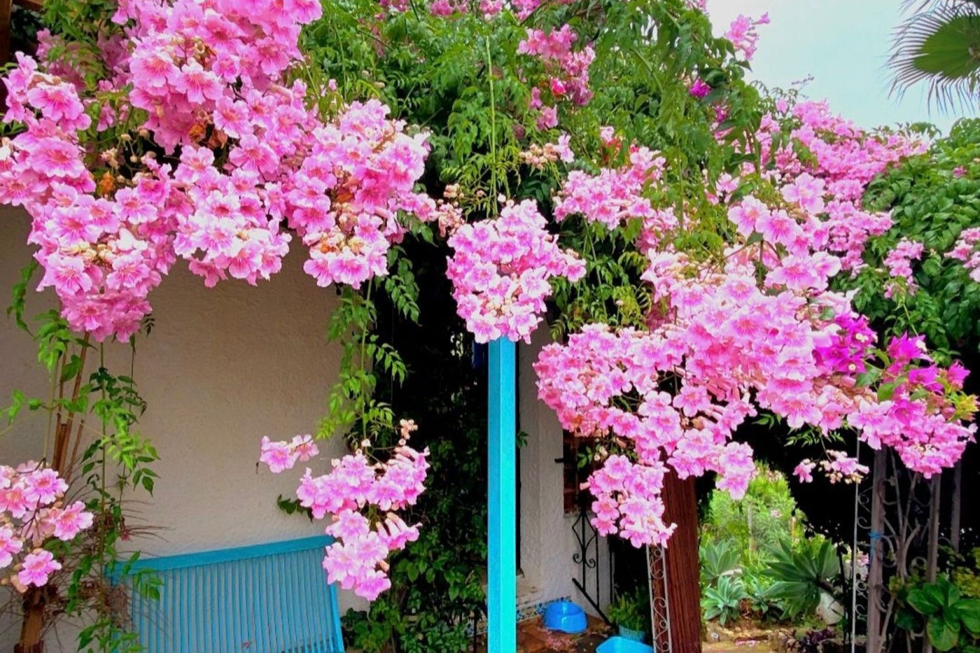 Resale - Villa - Jávea - Jávea/Xàbia